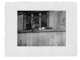 Bystrzec, Basia Vincenz na balkonie z kotem i kociątkami